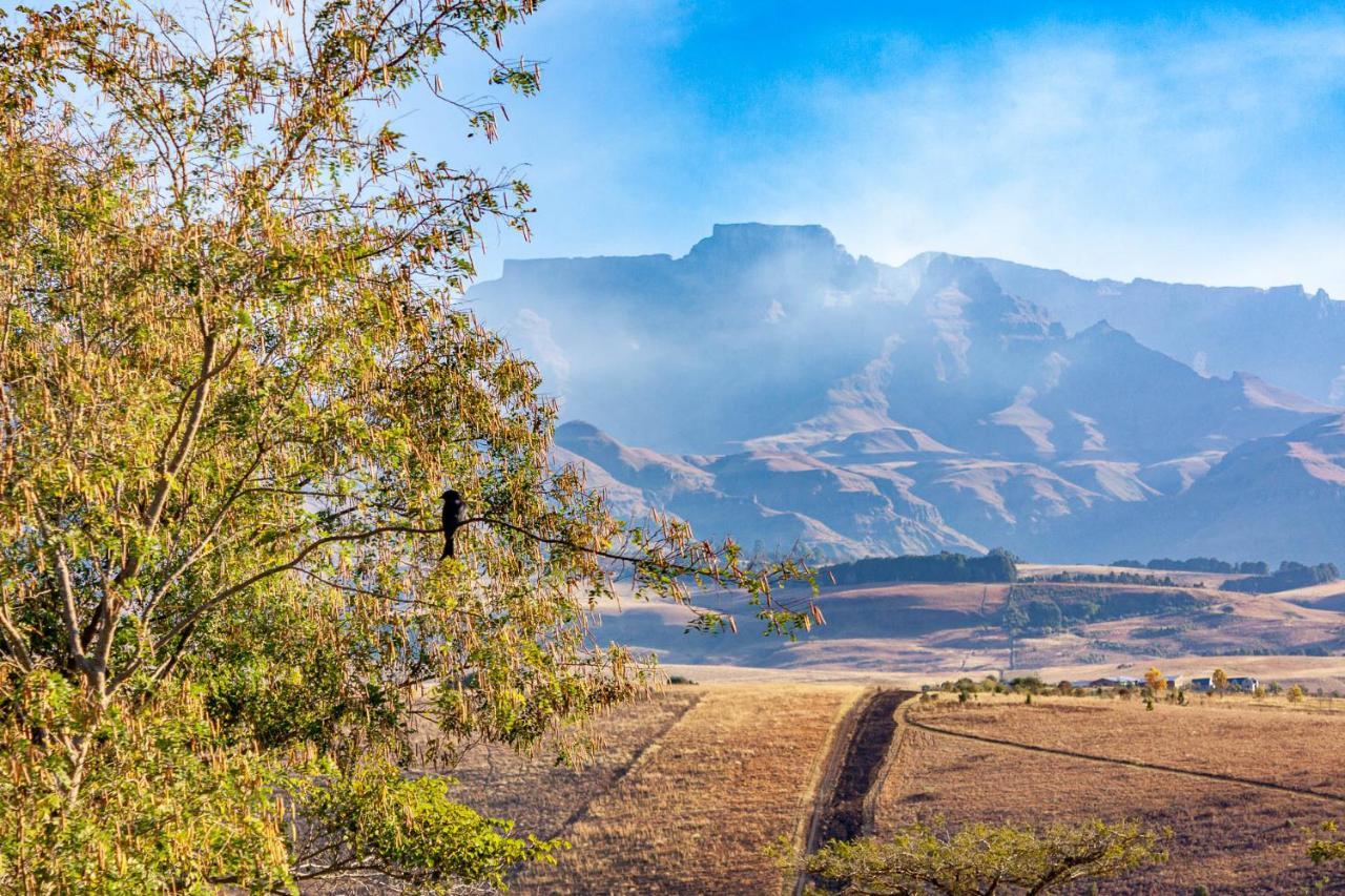 Inkungu Lodge Champagne Valley Dış mekan fotoğraf