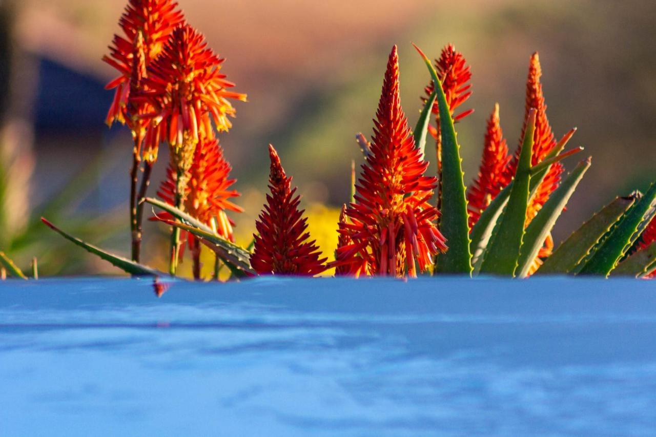 Inkungu Lodge Champagne Valley Dış mekan fotoğraf