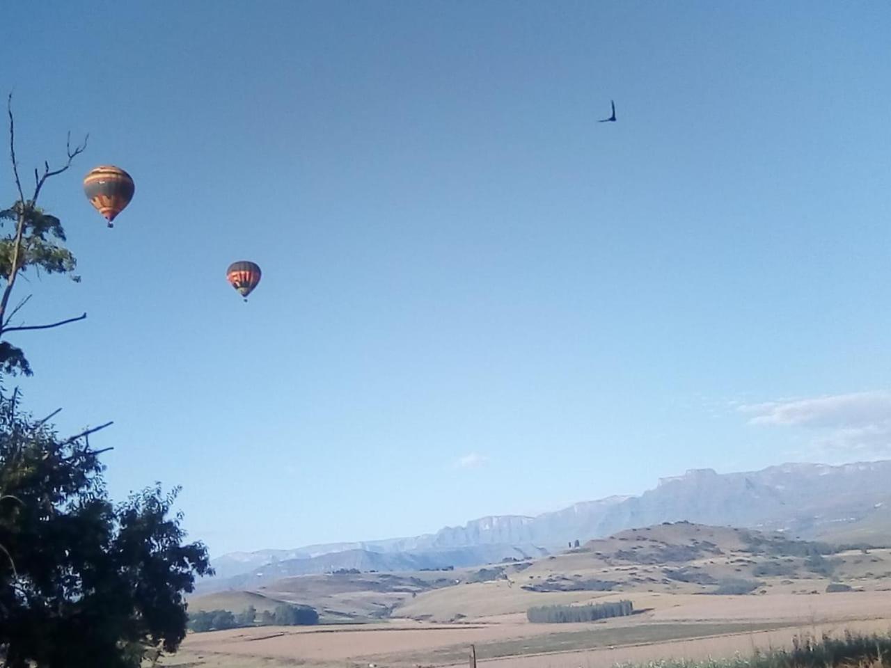 Inkungu Lodge Champagne Valley Dış mekan fotoğraf
